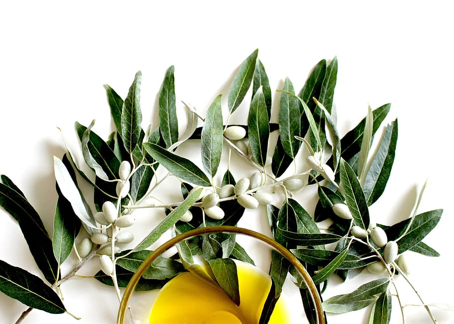 benefícios do azeite olive oil health benefits